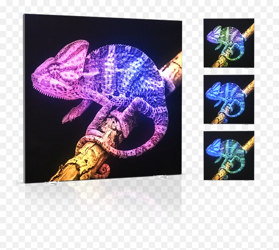 Flow - Motion Dynamic Led Animated Light Box Chameleons Emoji,Motion & Emotion Logo Svg