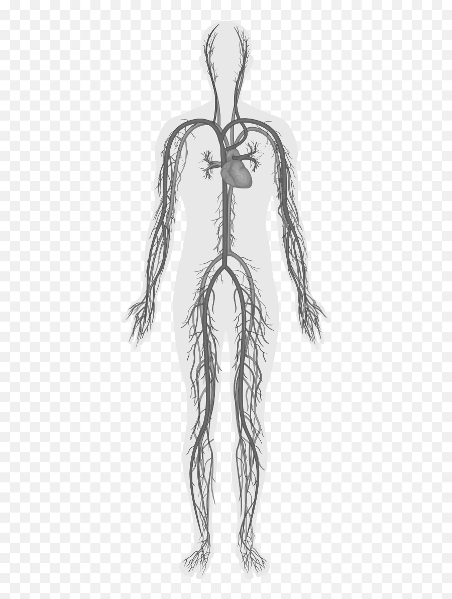 Integrative Psychiatry - Alleviant Heath Centers Blood Lines In Body Emoji,Anatomy Of Emotion Art