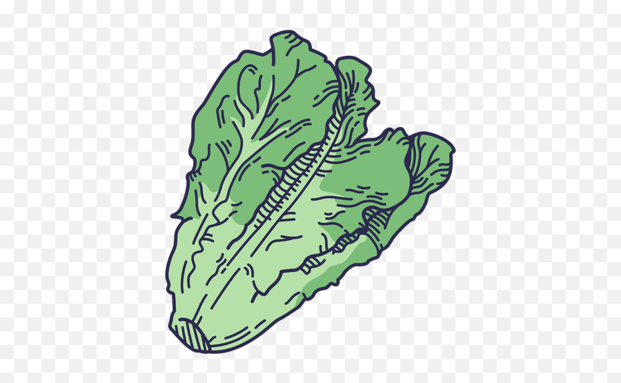 Lettuce Graphics To Download - Superfood Emoji,Head Of Lettuce Emoji
