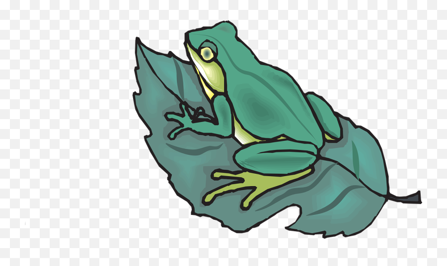 Httpswwwpicpngcomwhite - Birdduckwingslandingpng Emoji,Frog Emoji Ornament