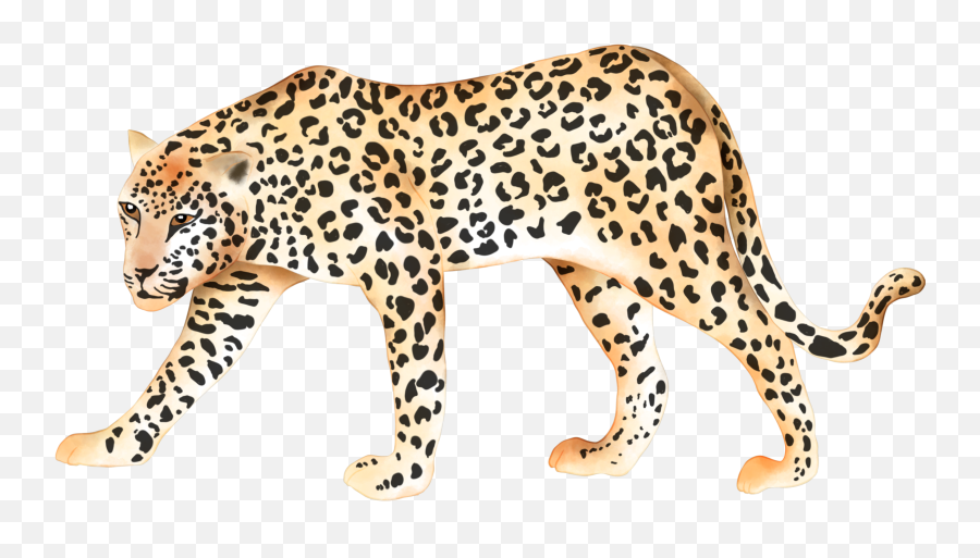 Leopard Jaguar Animalprint Sticker Emoji,Jaguar Emoji