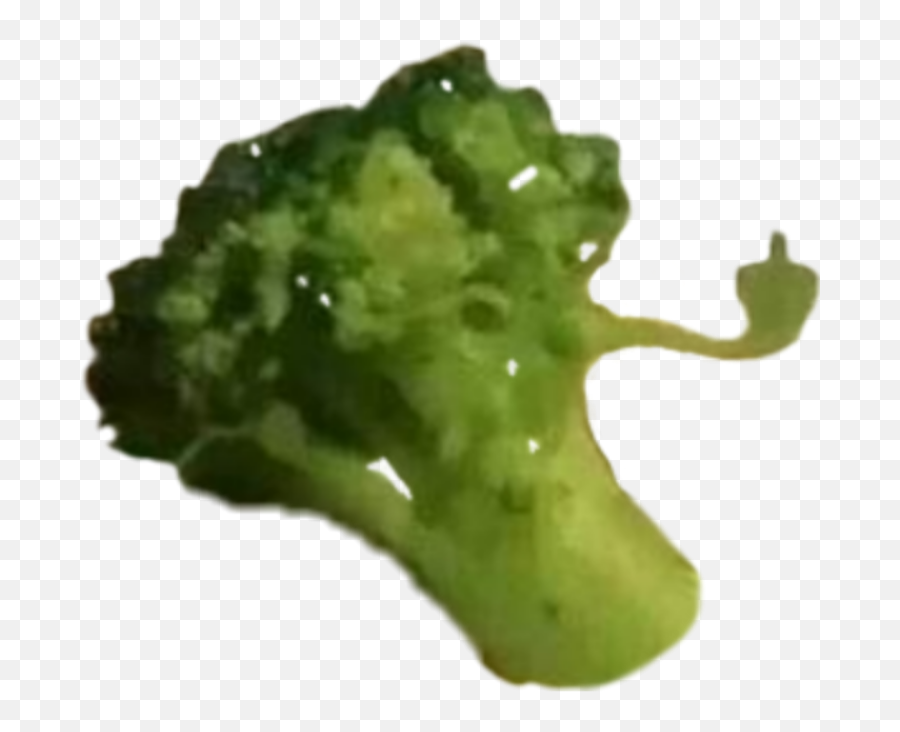 Broccoli Brocoli Brocolli Sticker By Ik Damla - Superfood Emoji,Broccoli Emoji Png