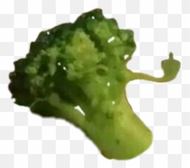 Broccoli Brocoli Brocolli Sticker By Ik Damla - Superfood Emoji,Broccoli Emoji Png