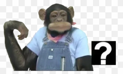 Stickers Cloud - Old World Monkeys Emoji,Barred Teeth Chimpanzee Emotion