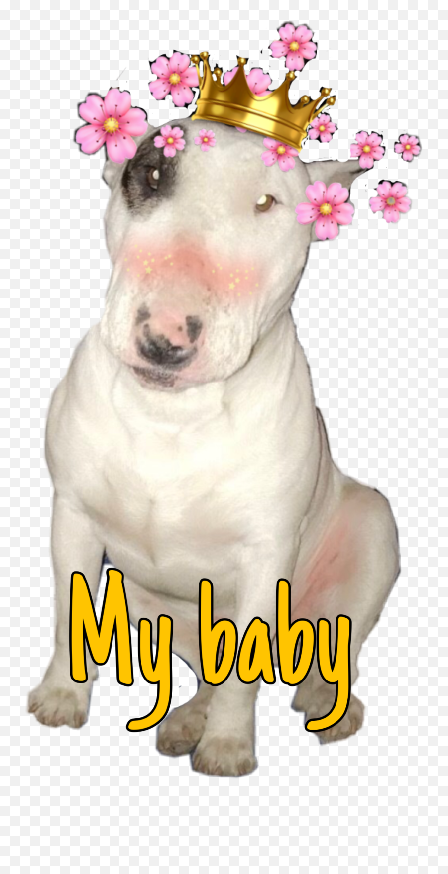The Most Edited - Photo Caption Emoji,Bull Terrier Emoticons