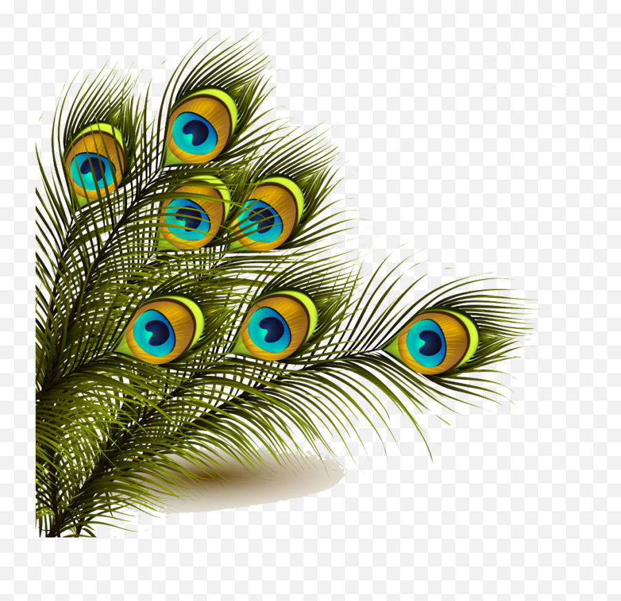 Download Peafowl Feather Clip Art - Peacock Feather Peacock Feather Png Emoji,Peacock Feather Ascii Emoticon