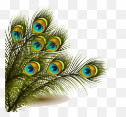 Download Peafowl Feather Clip Art - Peacock Feather Peacock Feather Png Emoji,Peacock Feather Ascii Emoticon
