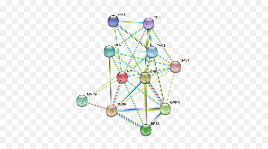 Nmb Protein Human - String Interaction Network Emoji,Rat Locust Emotion