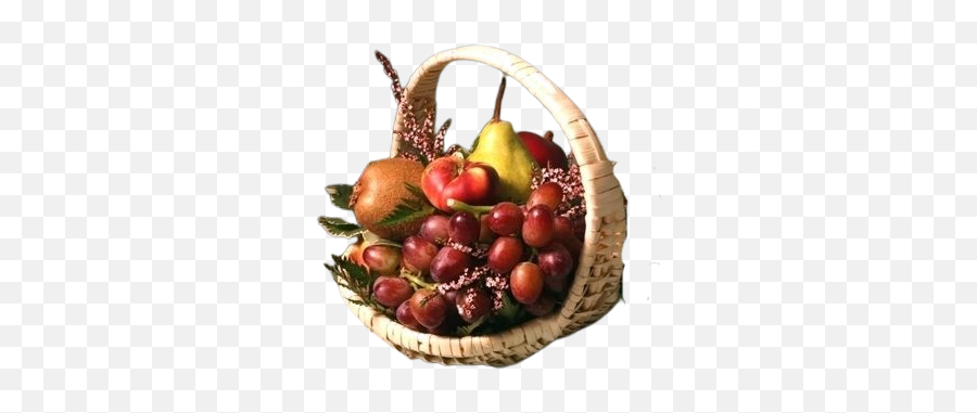 Personal Certified Organic Fruit Basket Emoji,Full Kiwi Emoji