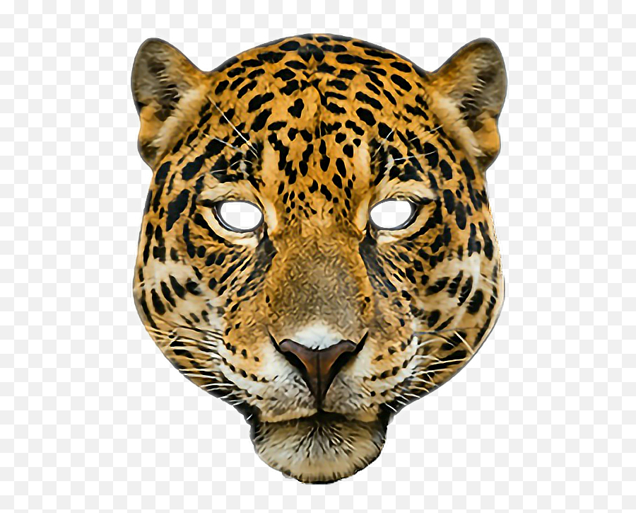 Leopardmask Leopard Jaguar Animal - Leopard Mask Emoji,Jaguar Emoji