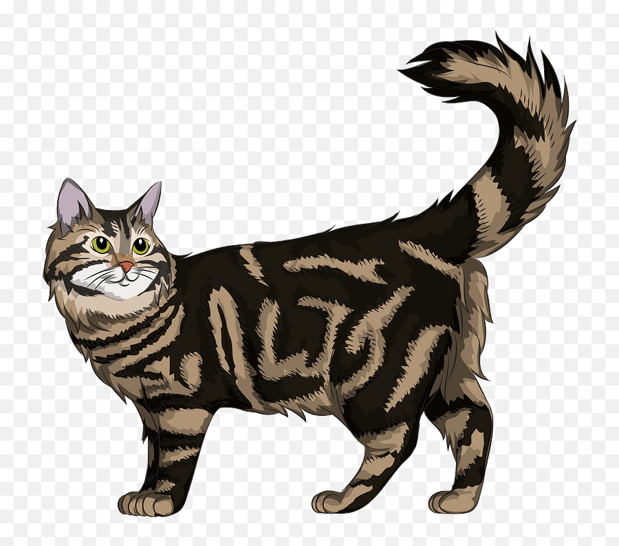 Maine Coon Cat Clipart - Cute Maine Coon Cat Cartoon Emoji,Coon Emoji