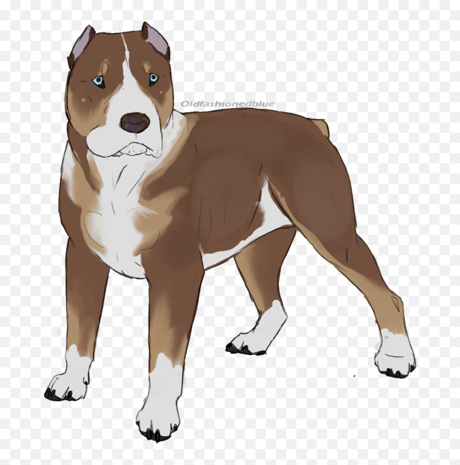 American Staffordshire Terrier American - Cómo Cómo Dibujar Un Cachorro Pitbull Balnco Emoji,Dog Ptbull Emojis