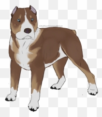 American Staffordshire Terrier American - Cómo Cómo Dibujar Un Cachorro Pitbull Balnco Emoji,Dog Ptbull Emojis