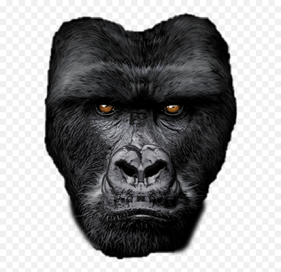 The Most Edited - Majestic Gorilla Emoji,Ridiculas Emoticon