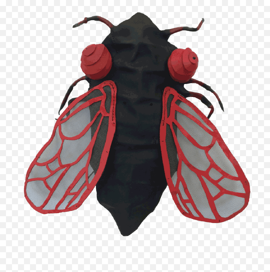 Cicada Emoji,Differnet Fly Emoji