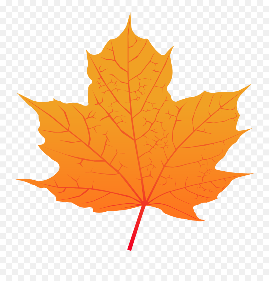 Maple Leaf Vector Images Icon Sign And Symbols - Orange Maple Leaf Png Emoji,Weed Leaf Emoji