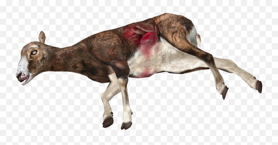 Sheep Png - Dead Mufflon Sheep Dead Deer Transparent Bovinae Emoji,Swordfish Emoji