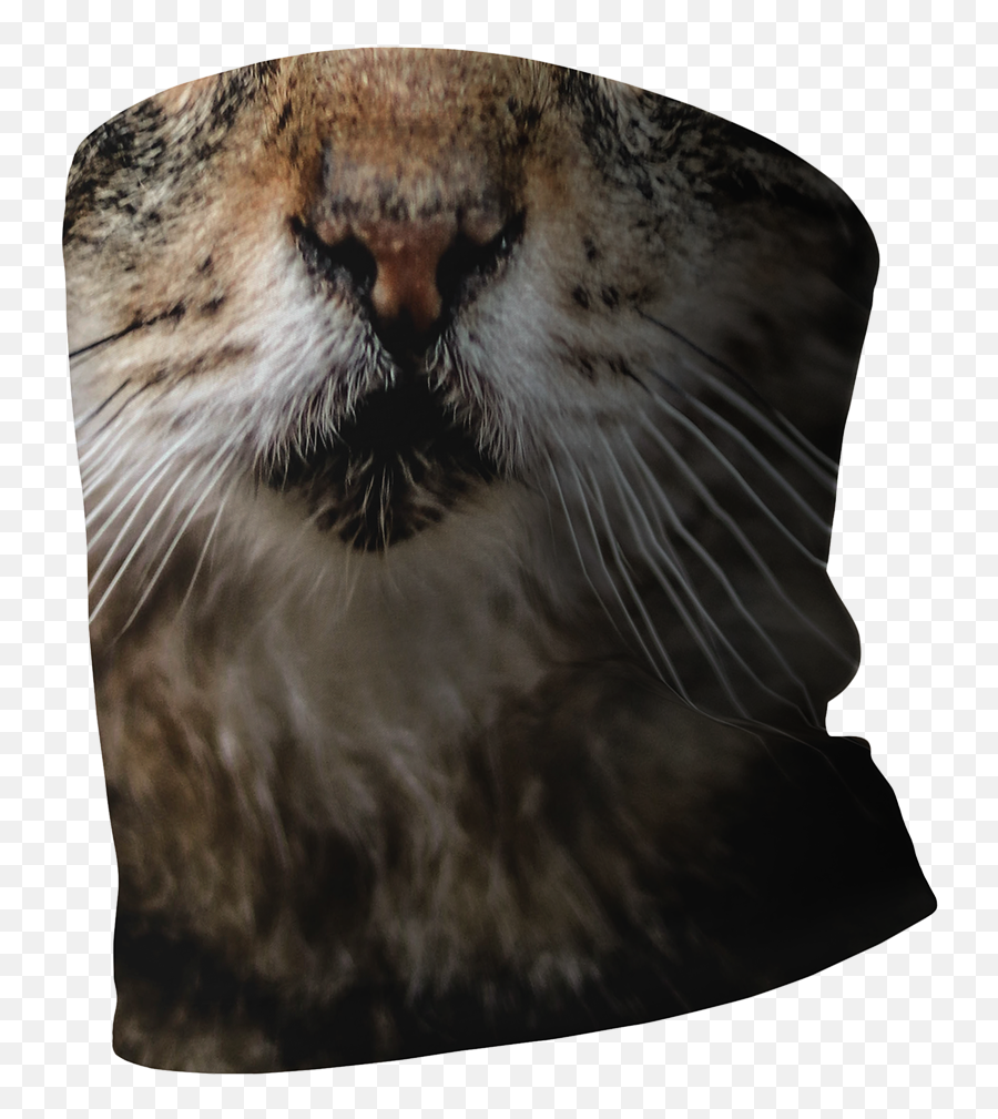 Buffs - Panthera Emoji,Buff Cat Emoticon