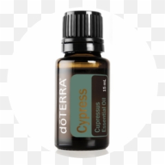 Home - Doterra Digestzen Emoji,Doterra Emotions Kit