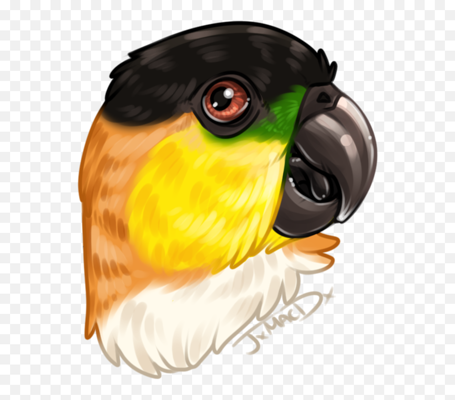 Roadkillreject - Parrots Emoji,Furry Emojis Xxx