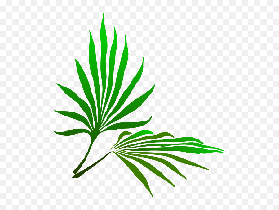 Fresh Palm Tree - Tropical Leaf Clipart Png Emoji,Colorful Palm Trees With Emojis