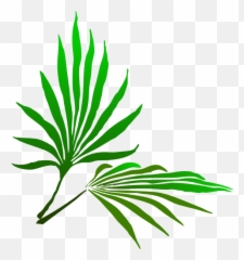Fresh Palm Tree - Tropical Leaf Clipart Png Emoji,Colorful Palm Trees With Emojis