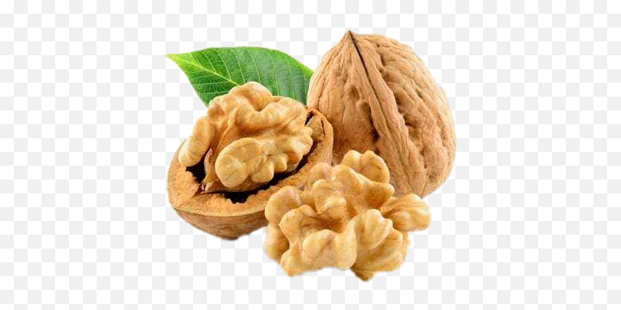 Walnut Sticker - Walnut Benefits Emoji,Walnut Emoji