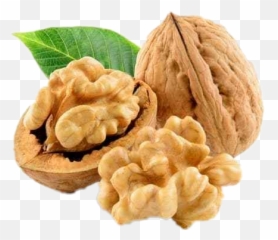 Walnut Sticker - Walnut Benefits Emoji,Walnut Emoji