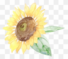 Privacy Policy Adarci Emoji,Aloe Vera Emoji