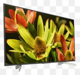 Xbr - Sony X830f Emoji,Emotion Tv Stand