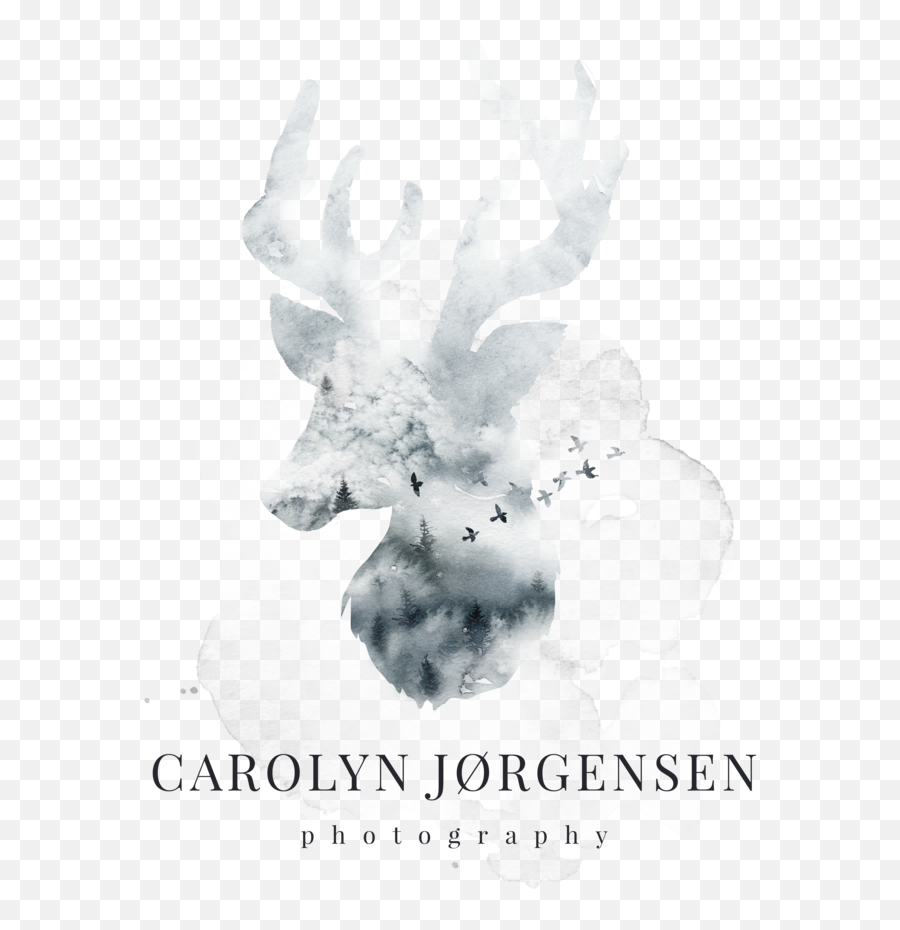 Carolyn Jorgensen Photography - Hirsch Aquarell Emoji,Human Emotions Photography