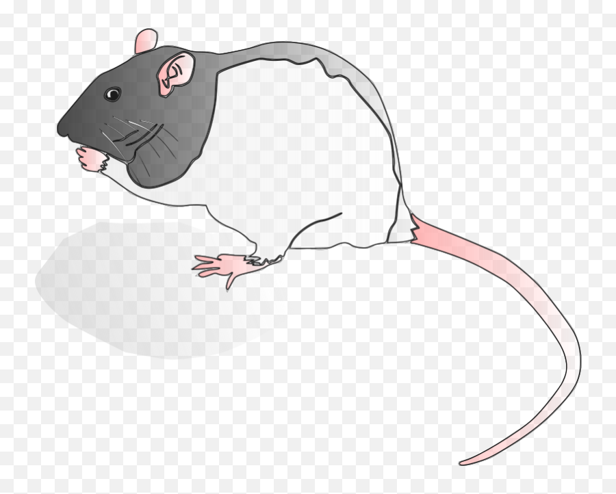 Openclipart - Clipping Culture Rat Tailpng Emoji,Zodiac Rat Emoticon