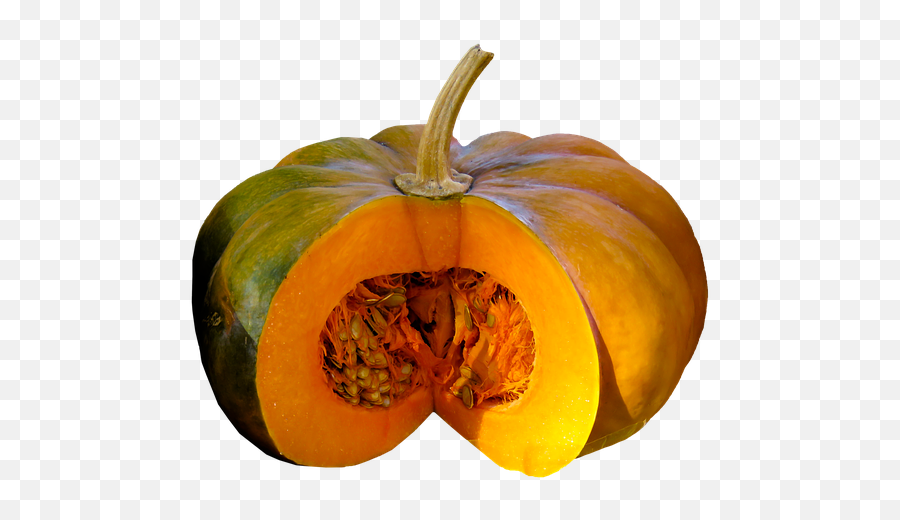 Les Bienfaits Des Graines De Courge - Altheaprovence Parts Of The Pumpkin Emoji,Les Emotions De Ma Citrouille