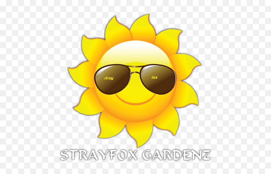 Raspberry Skunk - Hot Sun Png Emoji,Raspberry Emoticon