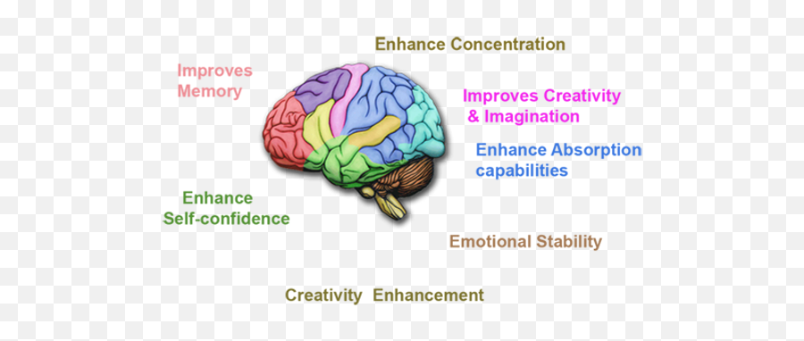 Brain Activation Course For Kids - Dmit And Midbrain Seminar Pass Emoji,Logic Brain Emotion Brain Kids