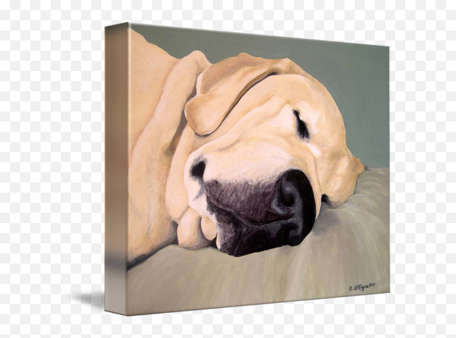 Yellow Labrador Retriever Sleeps By Amy Reges - Picture Frame Emoji,Large Emotion Pillow