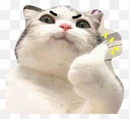 Funny Cats Memes Stickers Wastickerapps - Stickers De Gatos Riendo Emoji,Ridiculous Cat Emojis Free Android