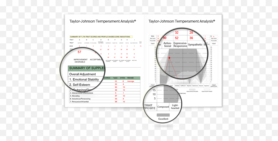 T - Taylor Johnson Temperament Analysis Emoji,Temperaments And Emotions