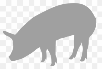 Pig 05 Icons Images Png Transparent Emoji,Pig Emoji Mages Transparent Background