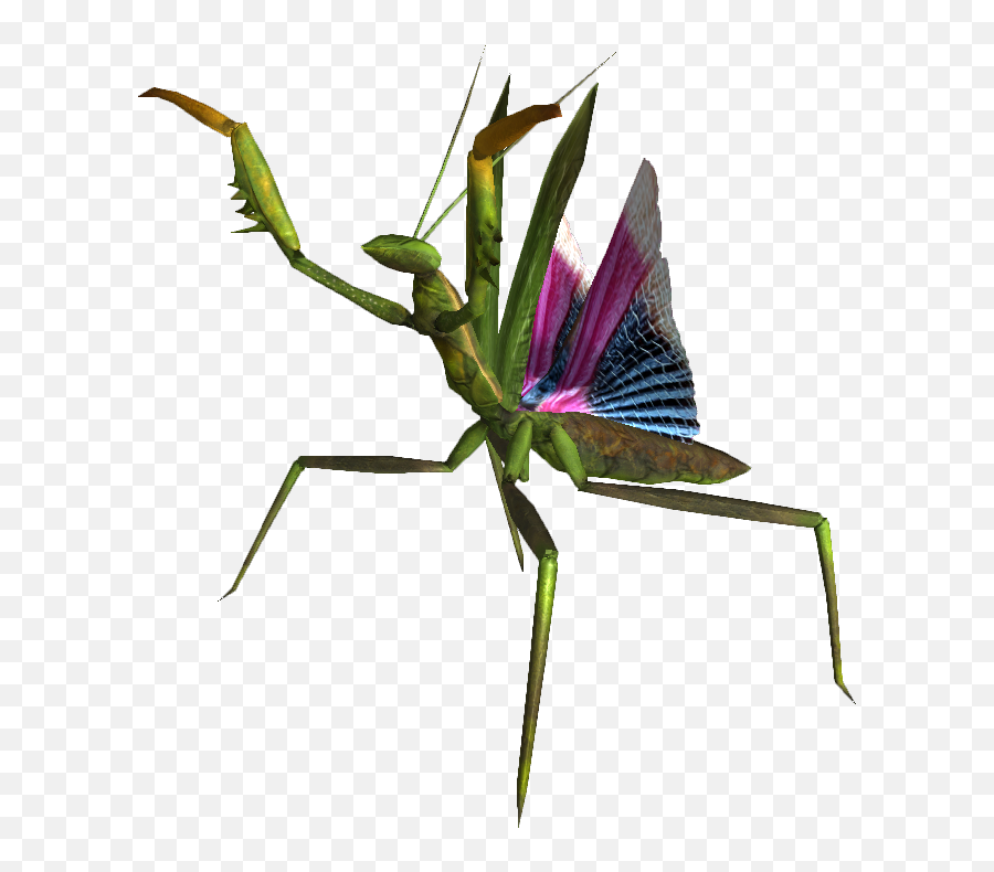 Mantis Png Transparent Images Png All - Parasitism Emoji,Mantis Emoji