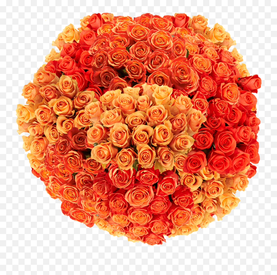 400 Assorted Orange Roses - Beautiful Fresh Cut Flowers Express Delivery Lovely Emoji,Emotion Reason Like Two Horses Pulling Same Cart