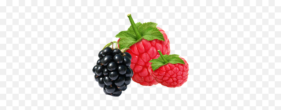 Free Raspberry Fruit Illustrations - Raspberry Blackberry Strawberry Png Emoji,Raspberry Emoji