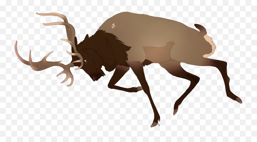 The Lovers Are Losing The Endless Forest - Elk Emoji,Eyebrows Emotion Chars