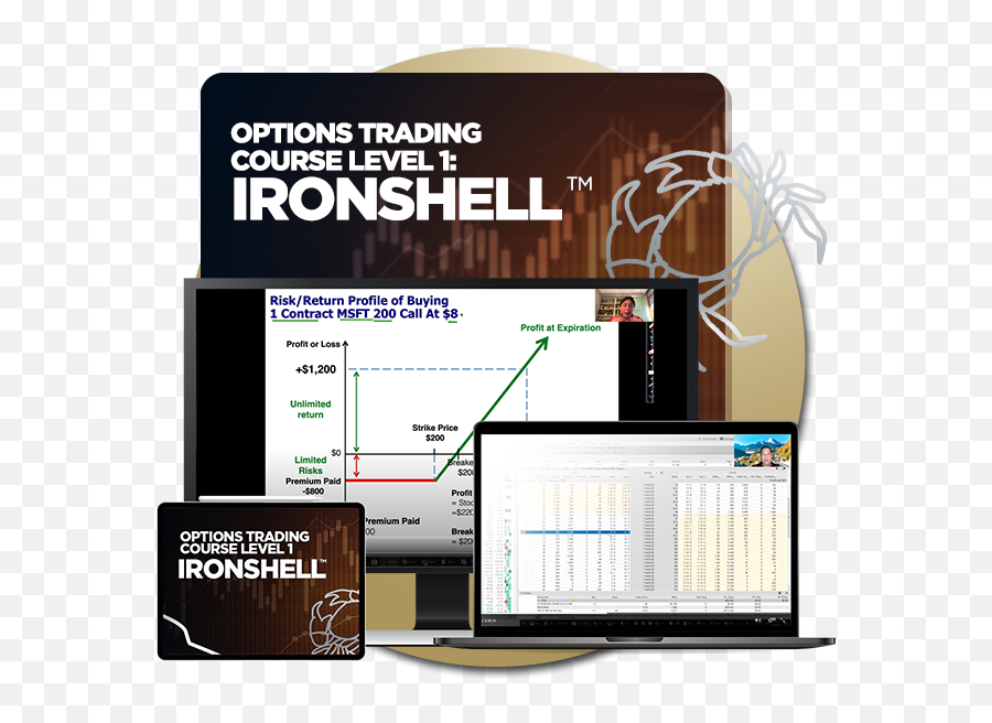 Options Trading Course Level 1 Options Ironshell Piranha - Vertical Emoji,Emotions Options Chart