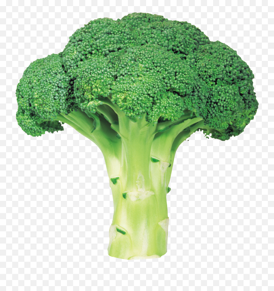Broccoli Png Image With Transparent Background Free Download - Broccoli Png Emoji,Head Of Lettuce Emoji