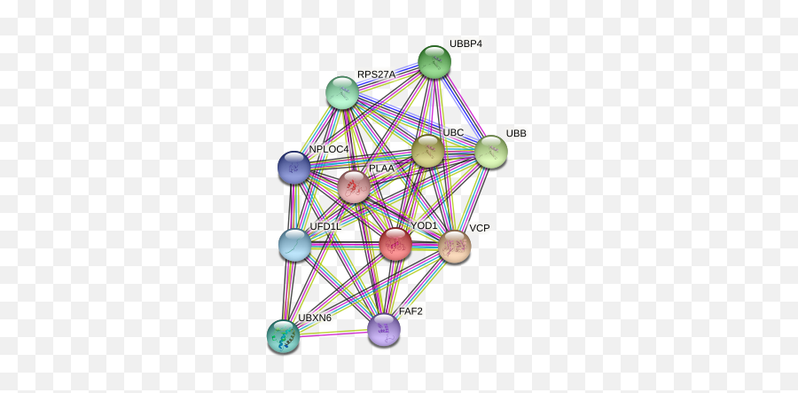 Yod1 Protein Human - String Interaction Network Emoji,Rat Locust Emotion