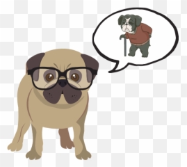 Why Does My Dog Stare At The Wall 9 Reasons Answered Emoji,Videos Of Dogs Emotions