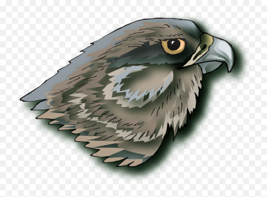 Green Elementary Homepage Emoji,Hawk Emotions