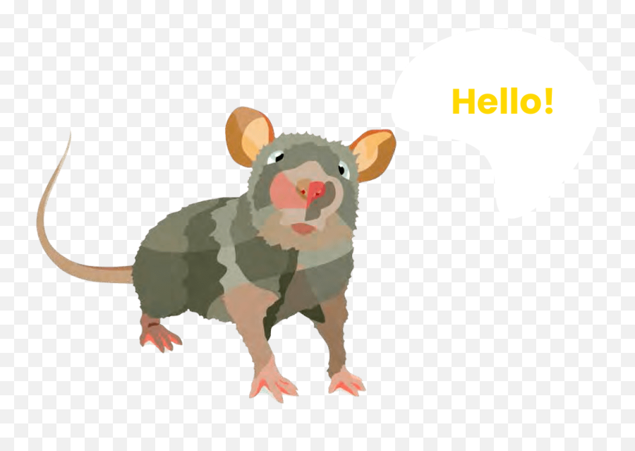 Homepage - Musée Des Égouts Emoji,White Rat Emojie