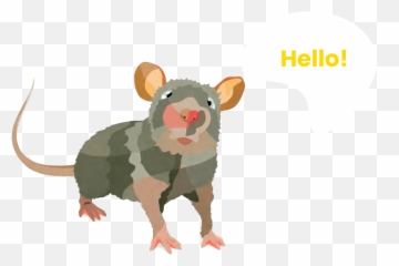 Homepage - Musée Des Égouts Emoji,White Rat Emojie